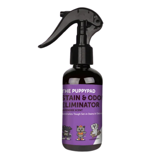FREE Stain & Odor Eliminator