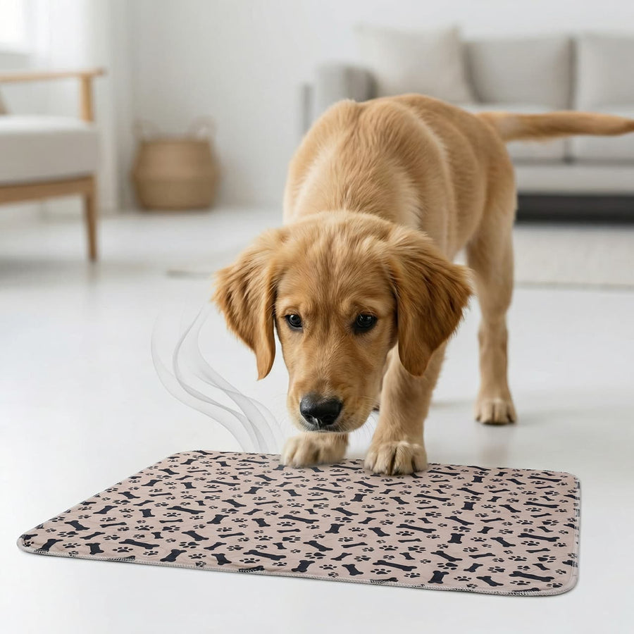 Designed specifically for canine comfort.