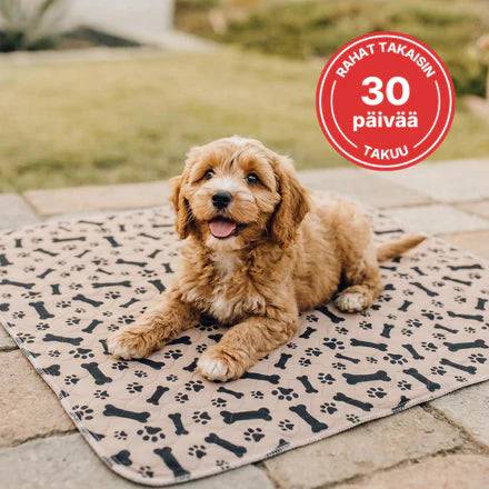 Try It Risk-Free For 30 Days