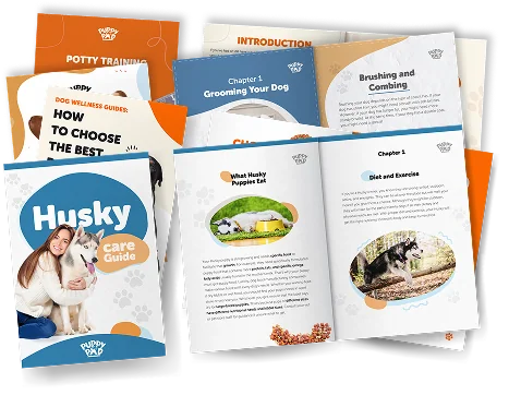 E-books Bundle